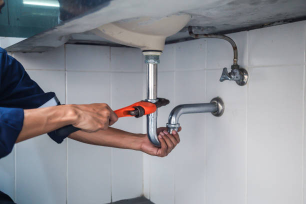 Best Residential Plumbing Services  in Creighton, NE